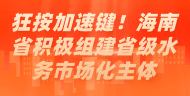 狂按加速鍵！海南省積極組建省級水務(wù)市場化主體